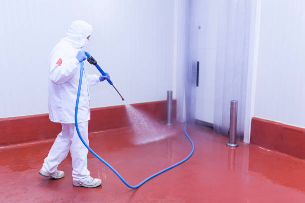 Boat and Dock Cleaning in Tyler, MN